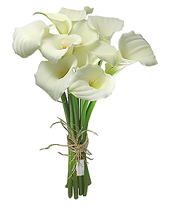 A beleza única dos copos de leite em um bouquet de flores clássico