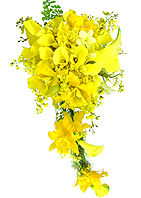 Maravilhoso bouquet estilo cascata confeccionado com orqúideas cattleya, chuva de ouro, dephale e as imponentes callas amarelas.