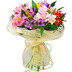  Colorido e suntuoso bouquet confeccionado com alstroemérias importadas coloridas e embalado em tela de fibra importada exclusiva Florencanto. 