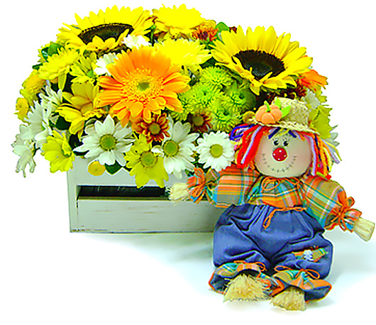 Uma composição alegre e charmosa de flores mistas em base de madeira com um simpático e exclusivo espantalho. 