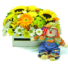 Uma composição alegre e charmosa de flores mistas em base de madeira com um simpático e exclusivo espantalho. 