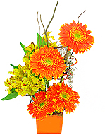 Em base de parafina colorida, o arranjo floral de gérberas e alstroemérias importadas, transmite a FELICIDADE a quem você desejar. A composição acompanha varetas  de incenso e  vela colorida.