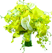 Maravilhoso bouquet de noiva com callas e orquídeas.