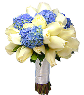 Bouquet estilo redondo, confeccionado com rosas brancas importadas e hort�ncias azuis.