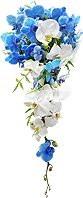 Bouquet de noiva confeccionado com orqu�deas phalaenopsis brancas e azuis