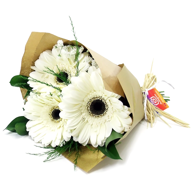 Trio of White Gerberas