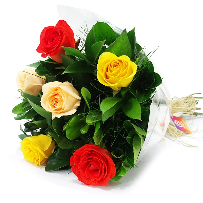 Buquê de 6 Rosas Coloridas - Prosperidade!