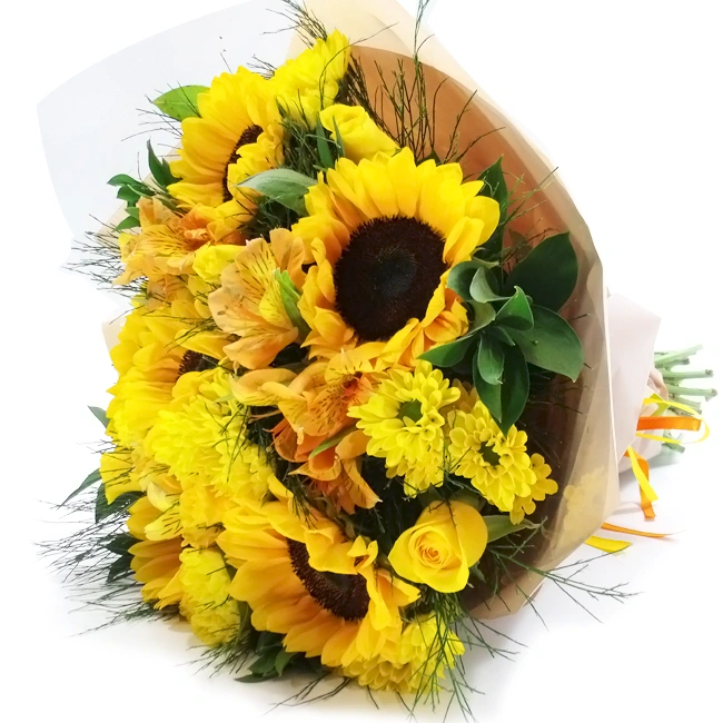 Florindo A Vida - M