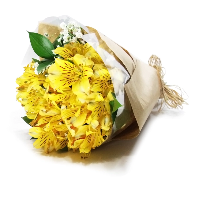 Yellow Alstroemerias - P