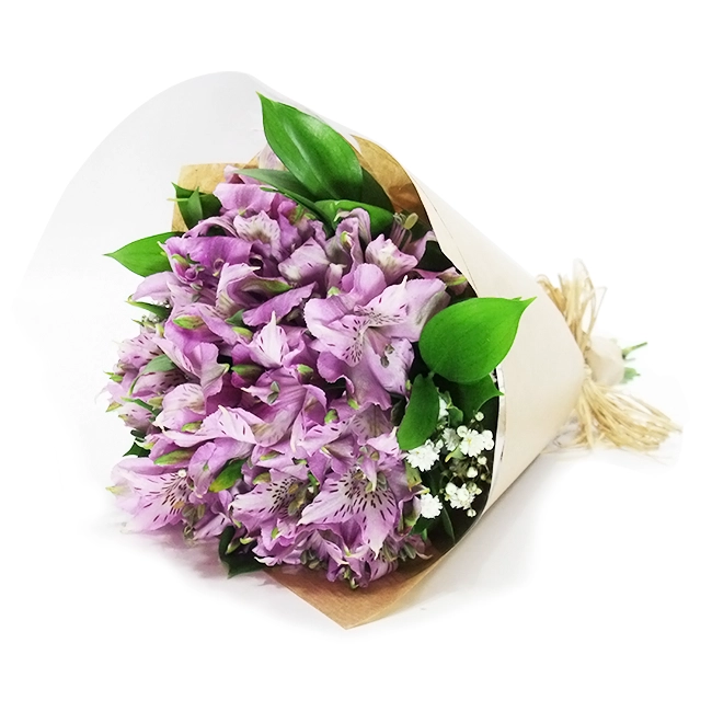 Lilac Alstroemerias - P