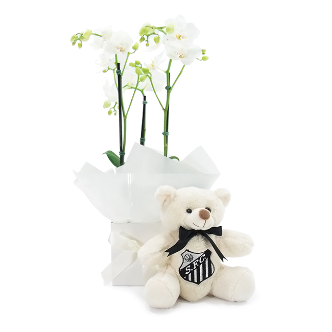 Santos Do Coração