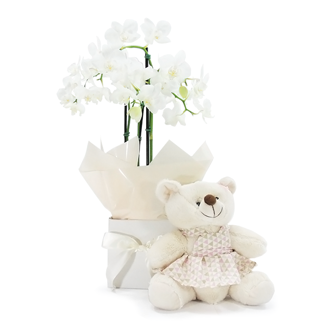 Soft as a Flower