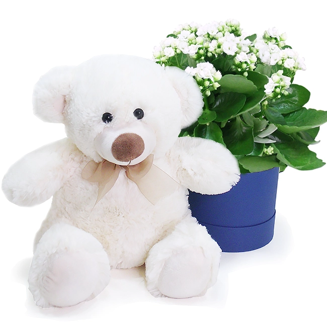 My teddy bear