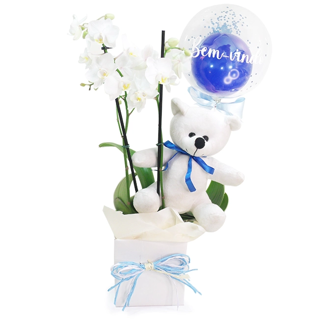 Orchid P - Maternity