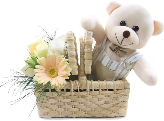Cute Bear