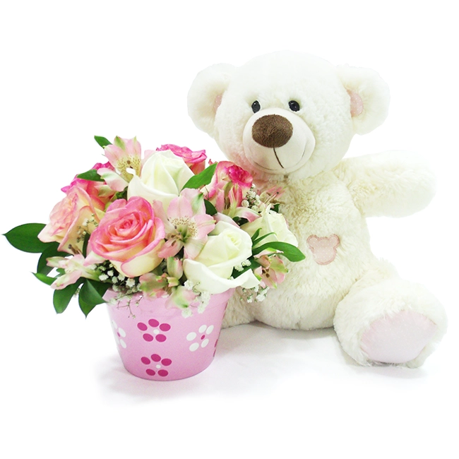 Delicate Bear