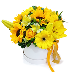 Box de flores amarelas