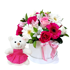 Box de Flores com pelúcia