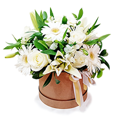 Box de Flores Brancas