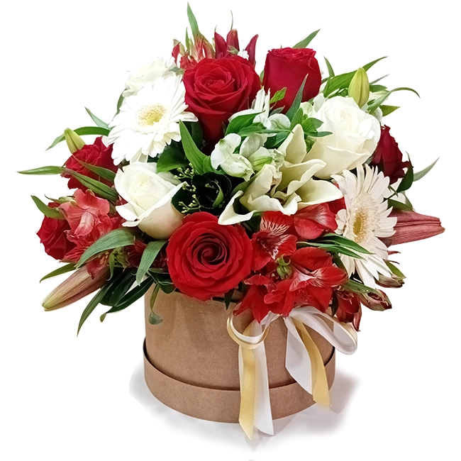 Red and White Flower Box