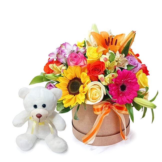 Colorful box with teddy bear