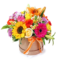 Colorful Flower Box