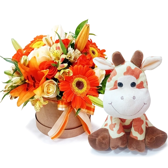 Orange Box and Little Giraffe