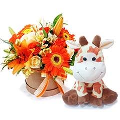 Box Laranja e Girafinha  