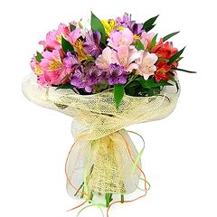 Colorido buquê confeccionado com um mix de alstroemérias coloridas e embalado em delicada tela. As alstroemérias são flores de delicadeza ímpar e também são muito duráveis o que torna esse presente muito apreciado por todos.   