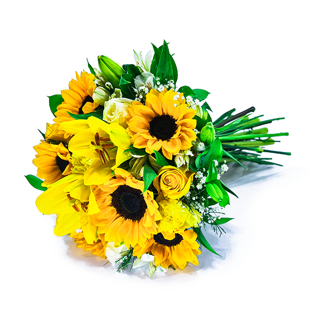 Sunflowers of Light - M