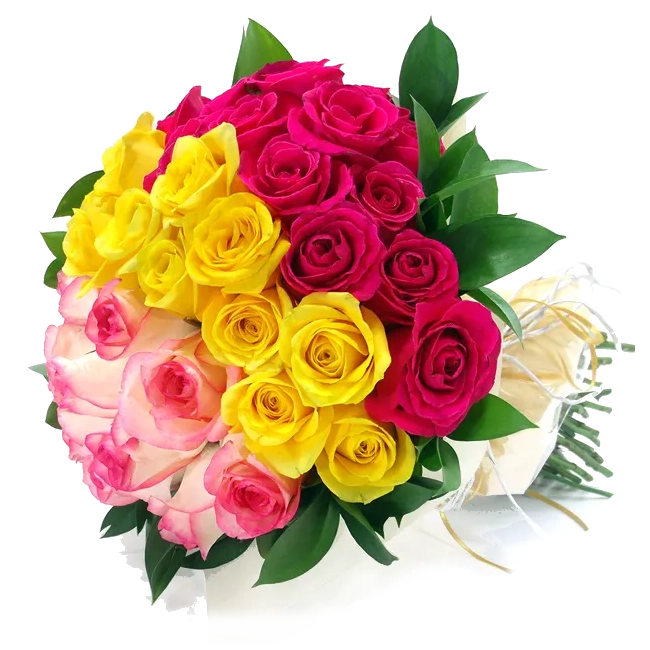 35 Rainbow Roses