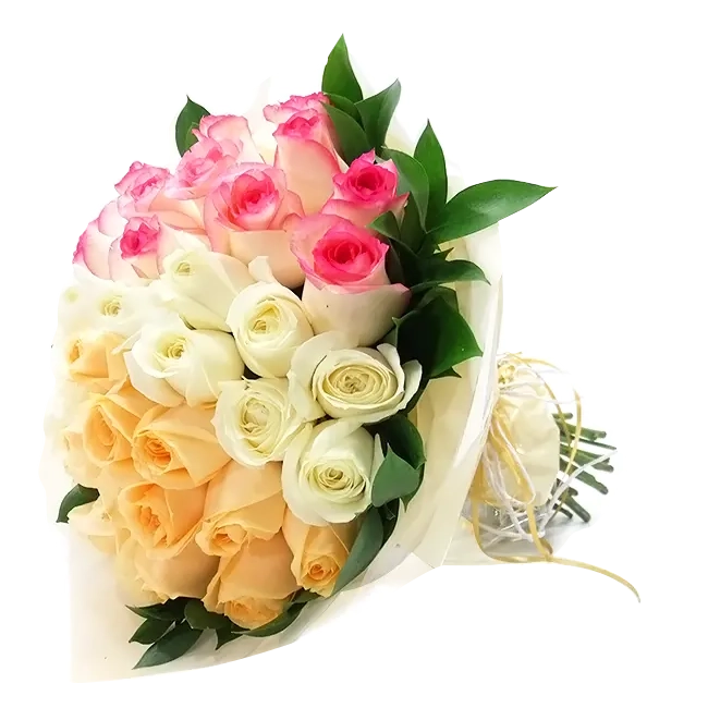 35 Beautiful Gradient Roses