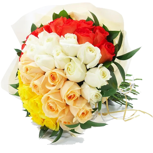 35 Nature´s Gradient Roses