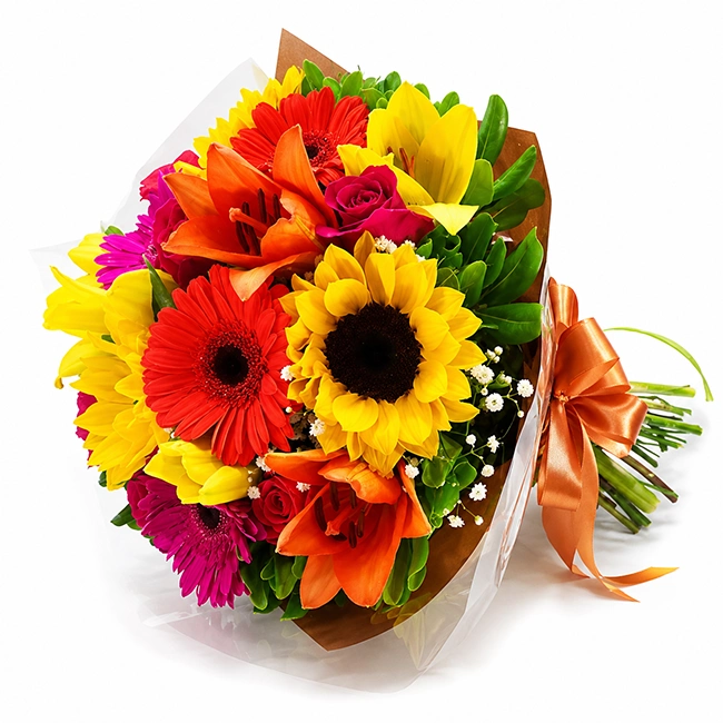 Explosion of Colors - M