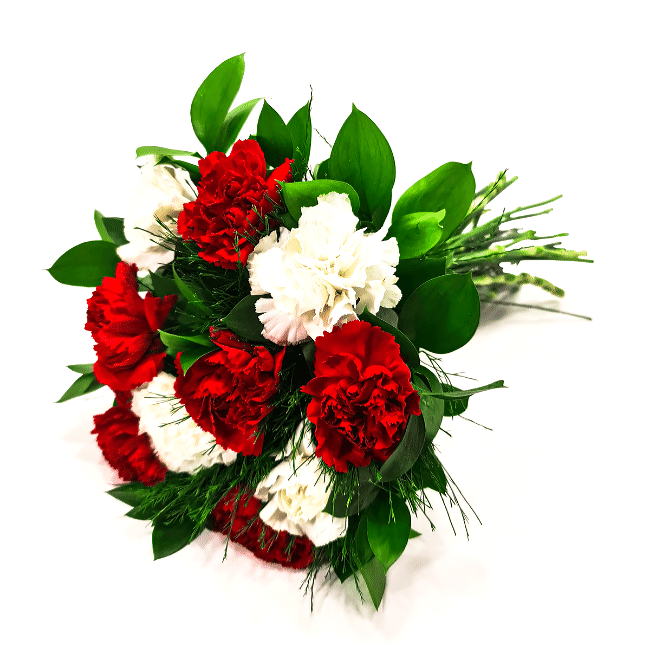 White and Red Carnation Bouquet - M