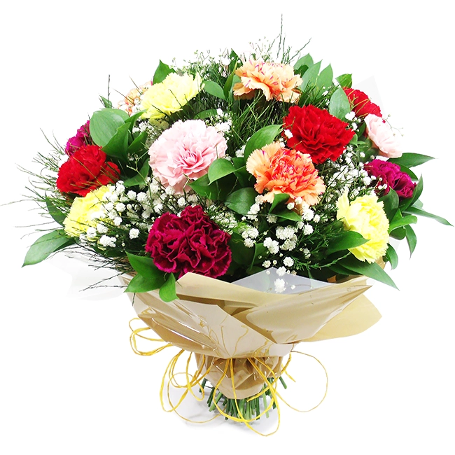 Colorful Carnations - M