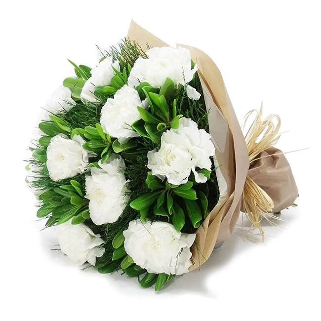 White Carnations
