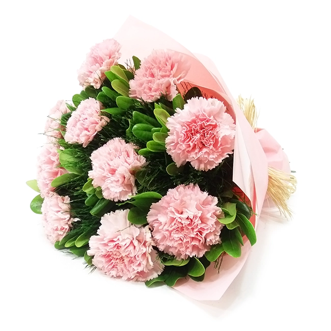 Pink Carnations