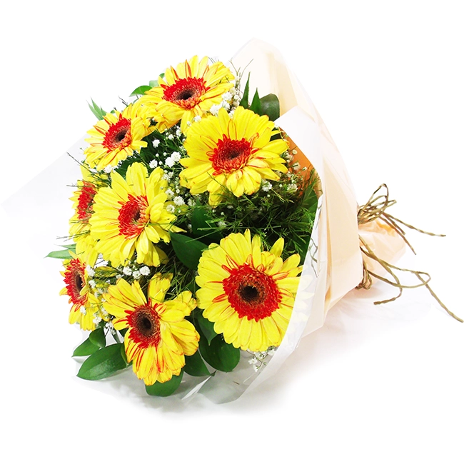 Eight Yellow Gerberas
