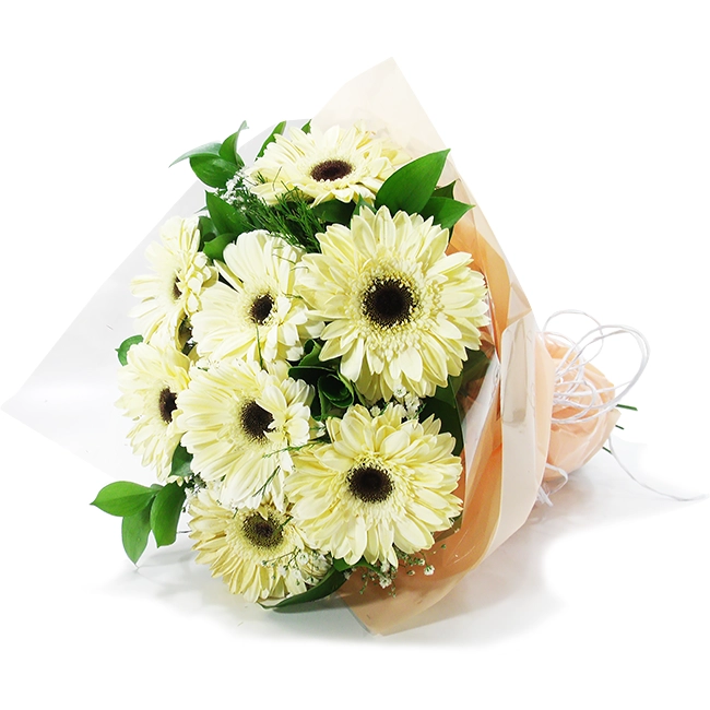 White Gerberas - M