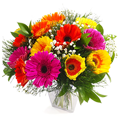 Por Quem Merece Amor