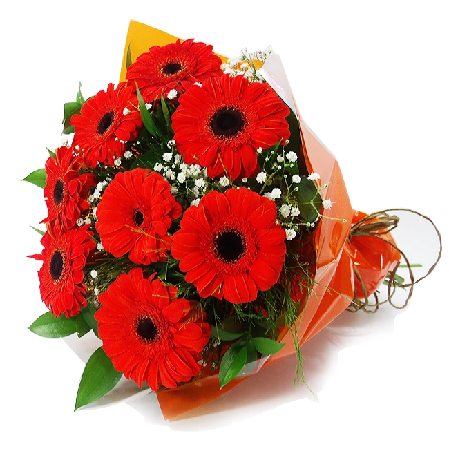 8 Orange Gerberas Bouquet