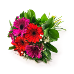 Buquê de Gérberas - Laranja e Pink 