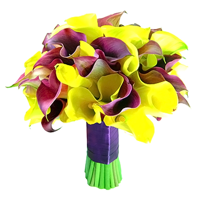 B.noiva - Callas
