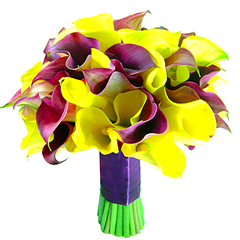 B.noiva - Callas