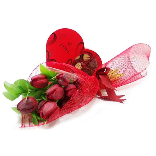 Tulips and Cacau