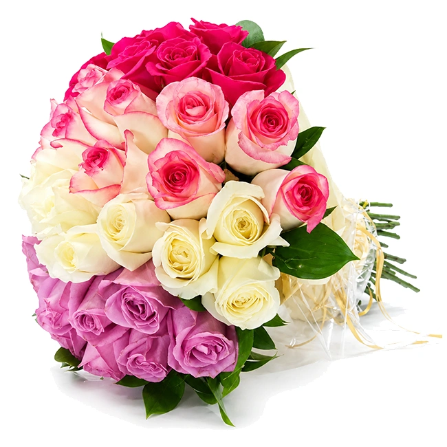 Buquê de 35 Rosas Coloridas - Suavidade