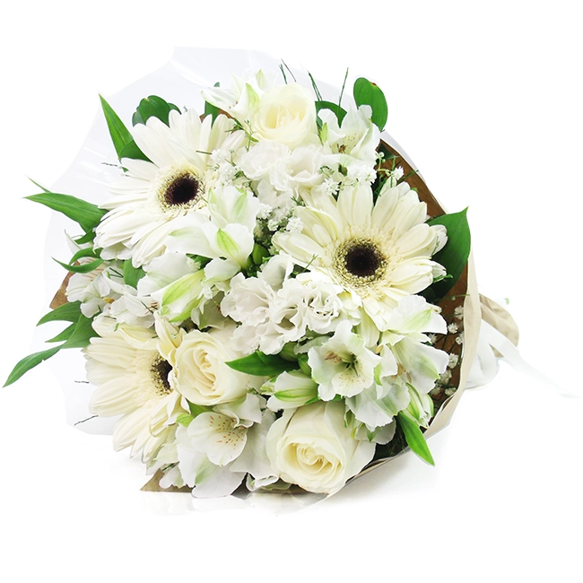 Peace Bouquet - P
