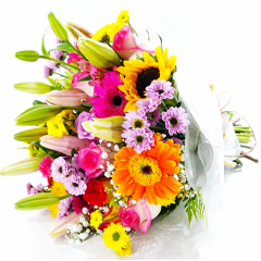 Mix de Cores e Alegria - G