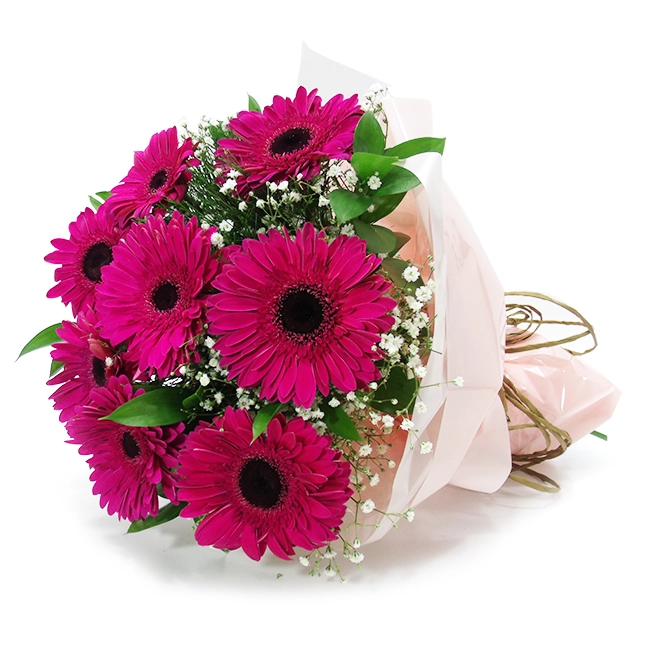 8 Pink Gerberas